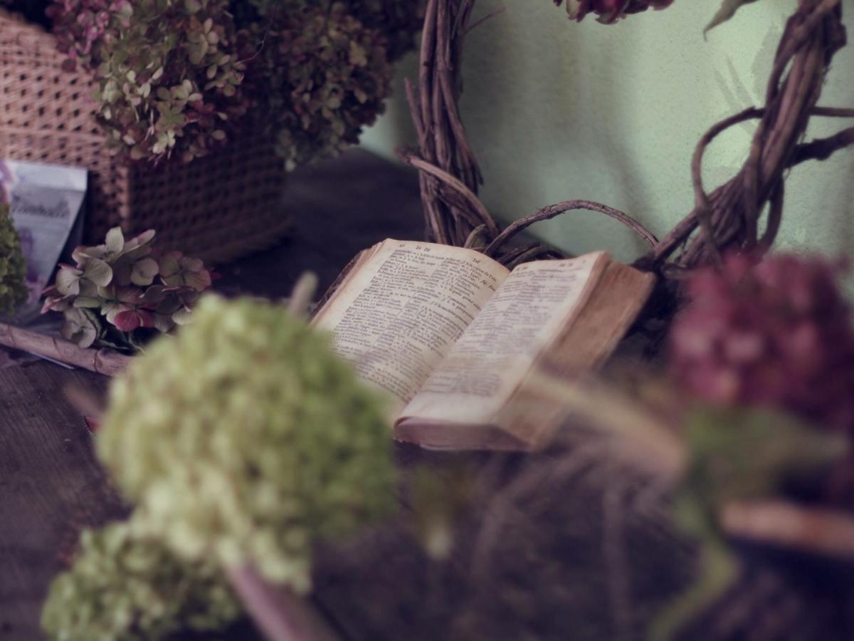 Content Editing: Simple Examples to Guide Your&nbsp;Journey