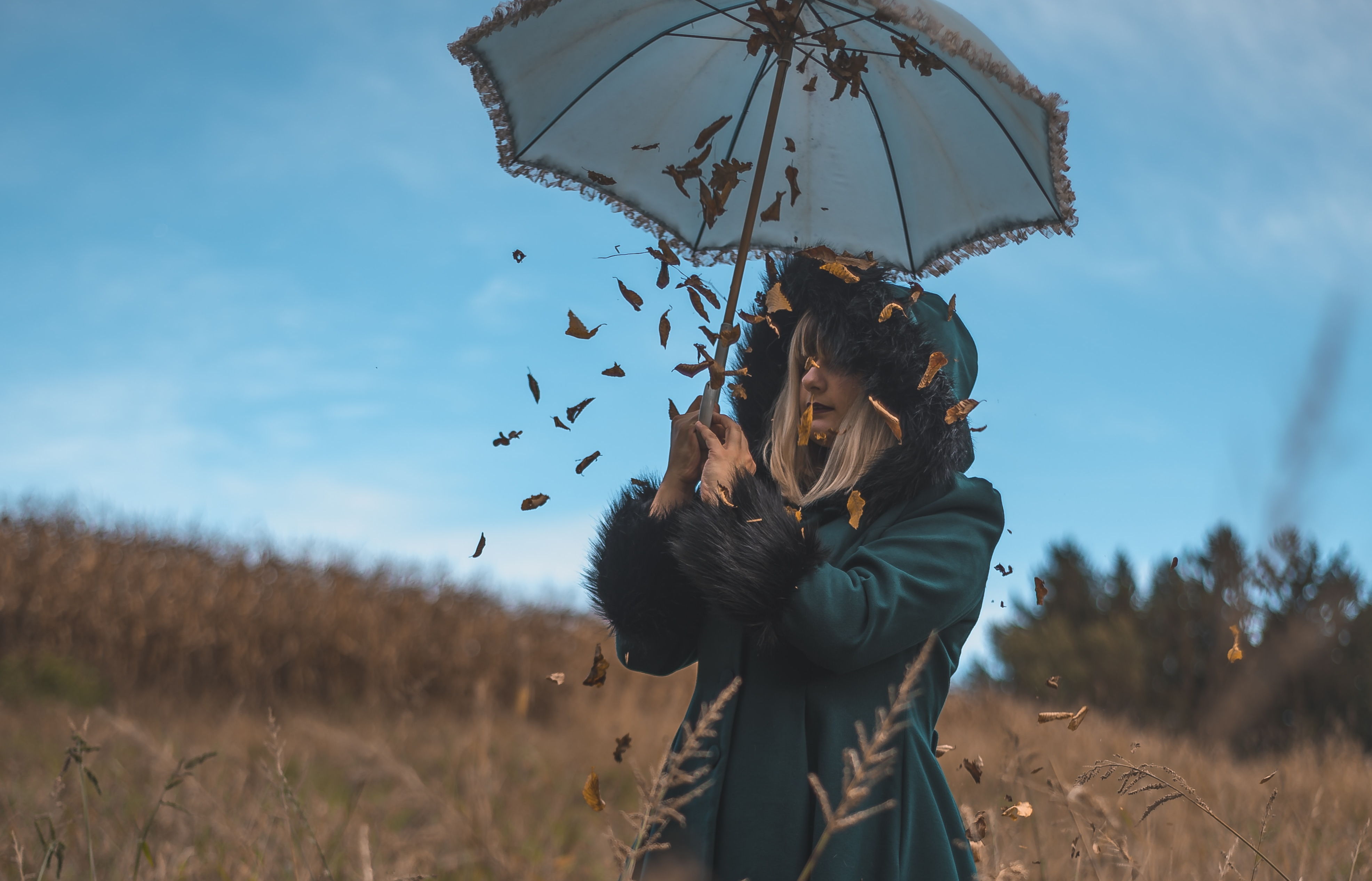 The 5 Types of Scenes Every Novel Could Use